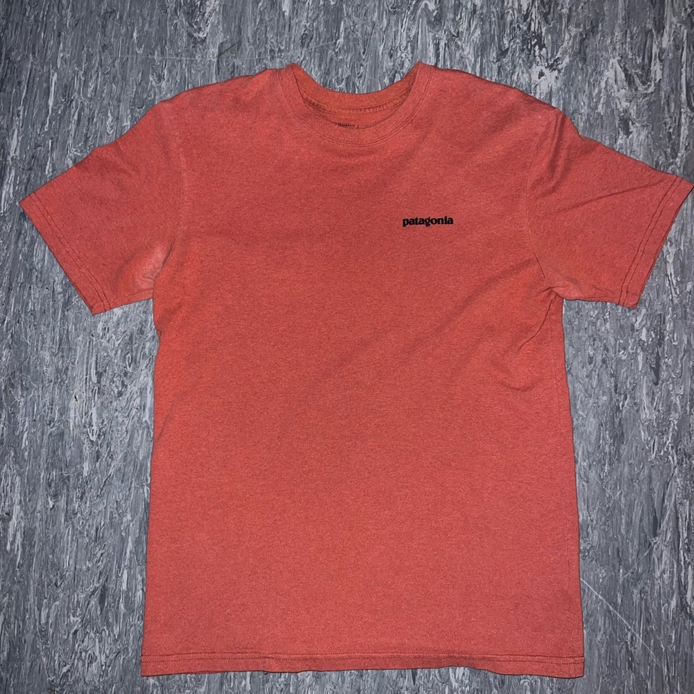 Patagonia Men's Red T-Shirt